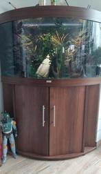 verkoop juwel trigon 190 liter hoek aquarium met meubel incl, Dieren en Toebehoren, Vissen | Aquaria en Toebehoren, Ophalen of Verzenden