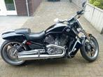 Harley Davidson v rod muscle vrscf ,2010 5hd vivid black, Particulier, Chopper
