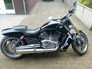 Harley Davidson v rod muscle vrscf ,2010 5hd vivid black  beschikbaar voor biedingen