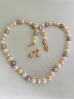 Parel Set Ketting Oorbellen Multikleur Akoya Parels 14K Goud, Ophalen of Verzenden, Nieuw, Goud, Goud