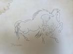 Pablo Picasso litho 1961, Ophalen of Verzenden
