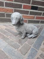 Betonbeeld teckel, Tuin en Terras, Tuinbeelden, Ophalen, Nieuw, Beton, Dierenbeeld
