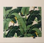 IXXI Banana Leaf, Ophalen of Verzenden, Zo goed als nieuw