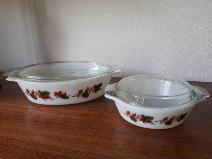 Vintage jaren60 2 schalen Rosehip van JAJ england, Huis en Inrichting, Keuken | Servies, Gebruikt, Schaal of Schalen, Overige stijlen
