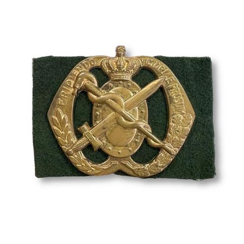 Baretembleem Regiment Geneeskundige Dienst, Verzamelen, Militaria | Algemeen, Landmacht, Embleem of Badge, Nederland, Ophalen of Verzenden