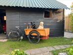 Oldtimer bakfiets Apollo gazelle klassieke, Ophalen, Zo goed als nieuw, Goederen