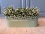 Plant in groene metalen plantenbak, Ophalen of Verzenden, Zo goed als nieuw, Binnen