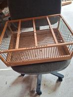 Kanarie benodigheden, Mannelijk, Kleurkanarie