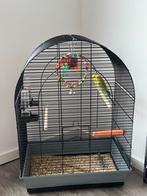 Vogels, Dieren en Toebehoren, Ophalen, Zo goed als nieuw, Hout, Vogelkooi