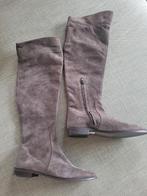 Prachtige hoge suede laars van Di Lauro, maat 39,5, Hoge laarzen, Beige, Nieuw, Ophalen of Verzenden