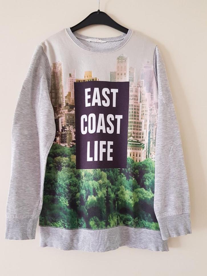 H&M grijs sweatshirt met afbeelding maat 158-164, Kinderen en Baby's, Kinderkleding | Maat 158, Zo goed als nieuw, Jongen of Meisje