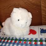 Lieve witte kat / kitten knuffel dementie 19 cm, Kinderen en Baby's, Speelgoed | Knuffels en Pluche, Ophalen of Verzenden