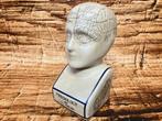 Phrenology hoofd (Medici hoofd) theorie L.N. Fowler., Antiek en Kunst, Ophalen of Verzenden