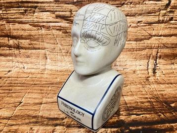 Phrenology hoofd (Medici hoofd) theorie L.N. Fowler. beschikbaar voor biedingen