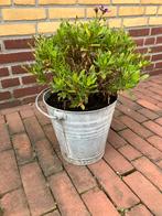 Zinken emmer, Tuin en Terras, Bloembakken en Plantenbakken, Ophalen