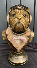 Bulldog, Ophalen of Verzenden