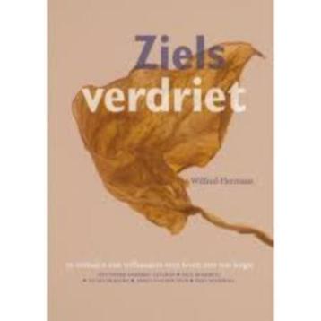 Zielsverdriet Wilfred Hermans 9789463691611 beschikbaar voor biedingen