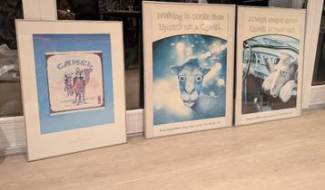 Verzameling Camel posters beschikbaar voor biedingen