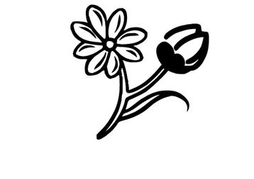 Bloemen stickers in verschillende soorten  beschikbaar voor biedingen