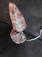 Lampje van schelpen, Ophalen of Verzenden