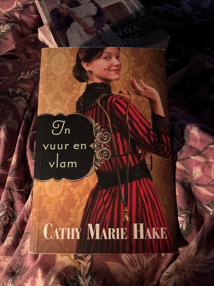 Historische roman- In Vuur en Vlam - Cathy Marie Hake, Boeken, Historische romans, Zo goed als nieuw, Ophalen of Verzenden