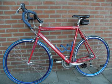 Gazelle formula team Gezond race fitness sport mooi 100% oké beschikbaar voor biedingen
