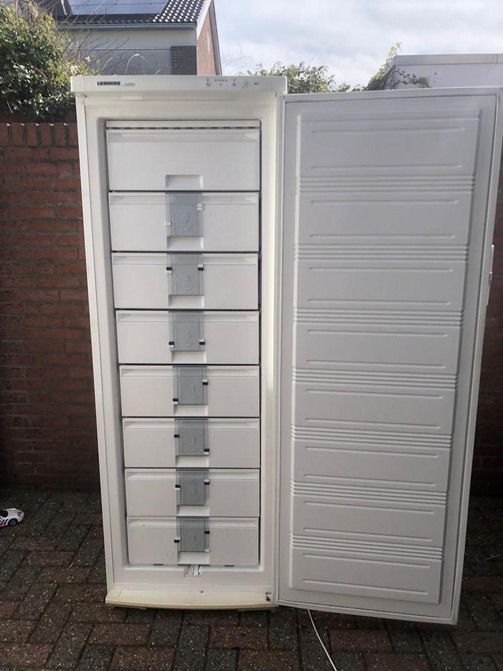 Liebherr Vrieskast - 8 Lades - Staand Model, Witgoed en Apparatuur, Vriezers en Diepvrieskisten, Gebruikt, Vrijstaand, Vrieskast
