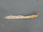 Papoea dolk Papua dagger Asmat Sepik  geen keris, Antiek en Kunst, Ophalen of Verzenden