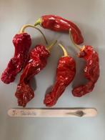 Pepers veel verschillende soorten vanaf €1,00, Tuin en Terras, Bloembollen en Zaden, Ophalen of Verzenden, Volle zon