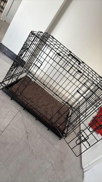 Bench kleine hond / puppy beschikbaar voor biedingen