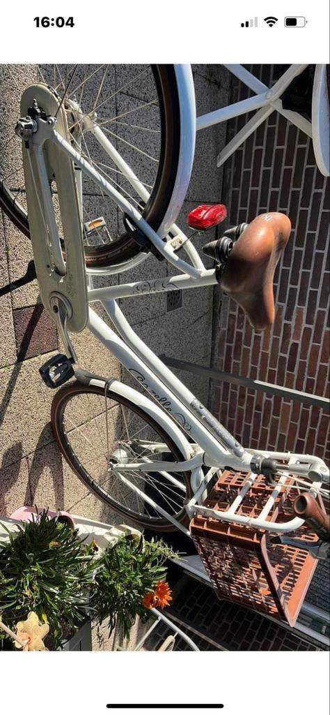 Gazelle Damesfiets - Lage Instap Miss Grace, Fietsen en Brommers, Fietsen | Dames | Damesfietsen, Gebruikt, Gazelle, (Extra) lage instap