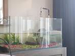 Aquarium schildpaddenbak met eiland, Caravans en Kamperen, Ophalen, Gebruikt