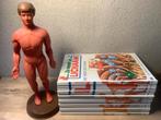 Anatomische model van het menselijk lichaam, Ophalen of Verzenden, Gebruikt