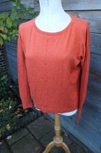 Trui roestrood Giulia e Tu mt 36 Vaste prijs, Bruin, Ophalen of Verzenden, Zo goed als nieuw, Maat 36 (S)