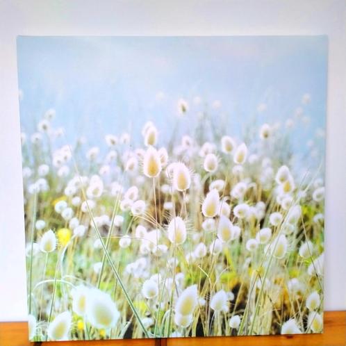 Ikea Pjätteryd foto op canvas 90x90 cm, Huis en Inrichting, Woonaccessoires | Schilderijen, Tekeningen en Foto's, Zo goed als nieuw