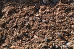 champost, Ophalen of Verzenden, Compost