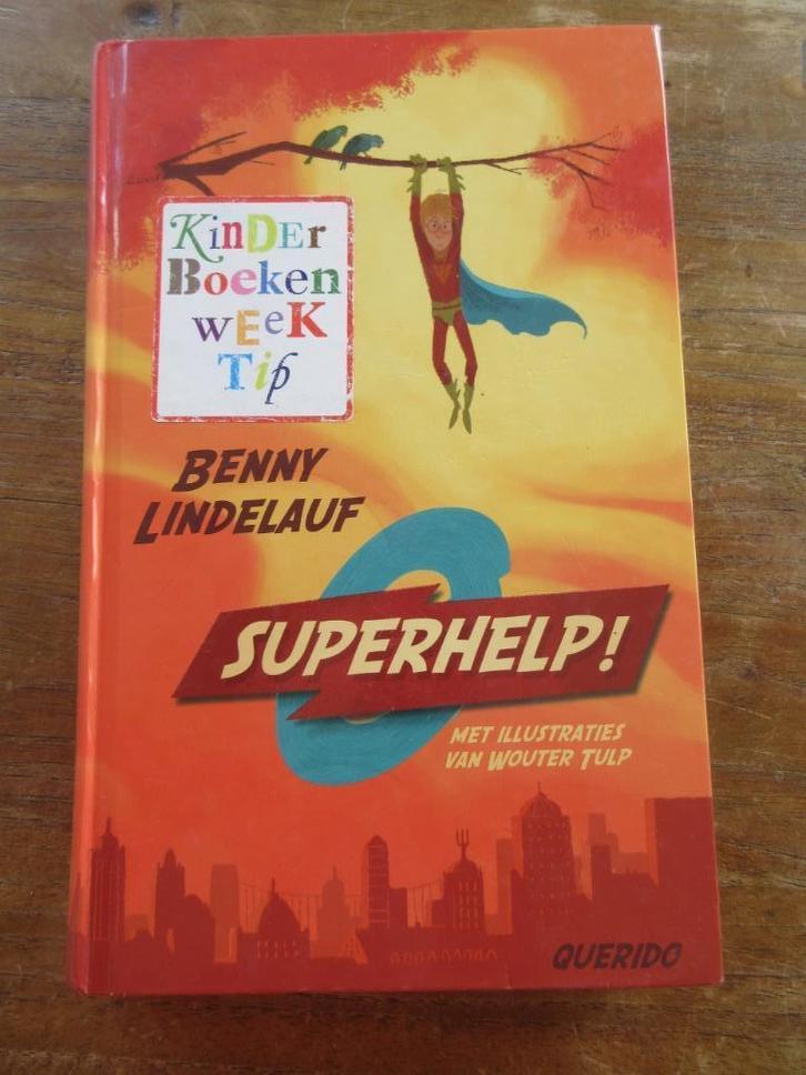 Superhelp!, Boeken, Kinderboeken | Jeugd | onder 10 jaar, Gelezen, Fictie algemeen, Ophalen of Verzenden