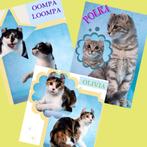 American Curl jonge poezen | gesteriliseerd |