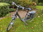 Giant Twist GO Double Power elektrische fiets met 2 accu’s, Fietsen en Brommers, Elektrische fietsen, Ophalen, Gebruikt, Minder dan 30 km per accu