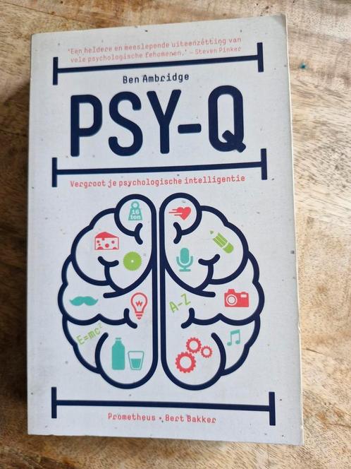 Ben Ambridge - Psy-Q, Boeken, Psychologie, Zo goed als nieuw, Ophalen of Verzenden