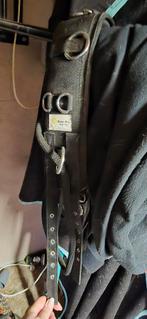 Longeersingel shetty, Dieren en Toebehoren, Ophalen