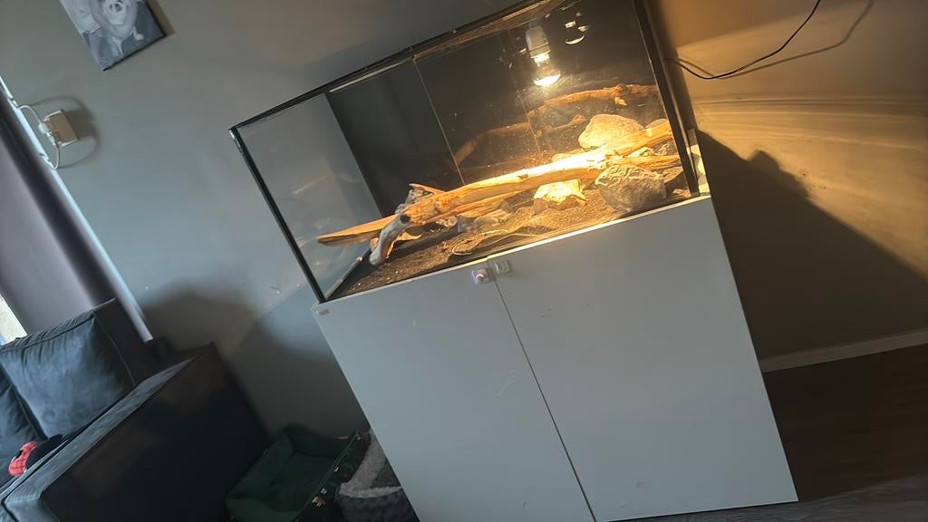 Terarium, Dieren en Toebehoren, Ophalen, Gebruikt