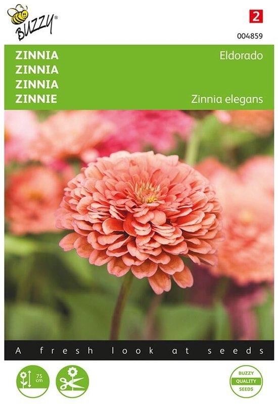 Buzzy bloemzaden - Zinnia - Eldorado, Ophalen of Verzenden, Volle zon