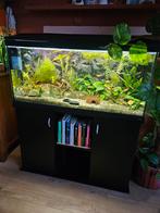 Compleet aquarium 220 liter, Vis