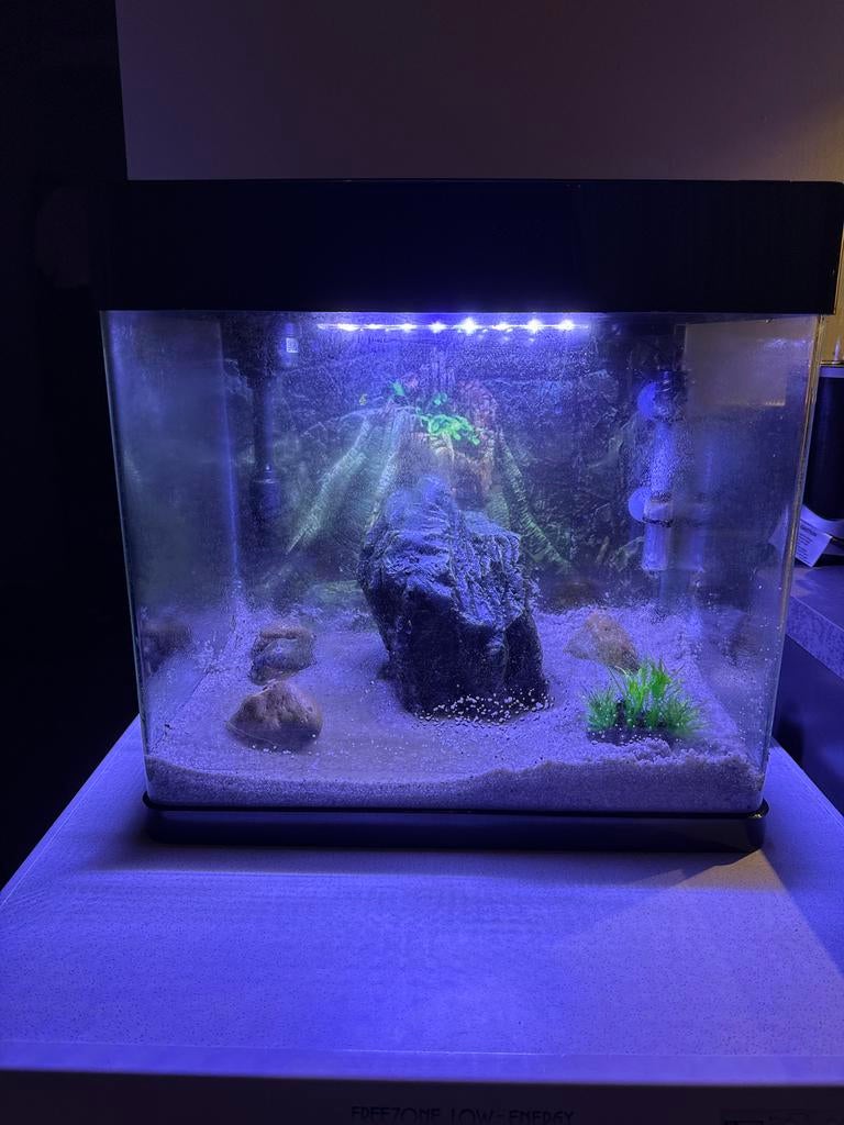 Mooi superfish aquarium te koop, Ophalen of Verzenden, Zo goed als nieuw, Leeg aquarium