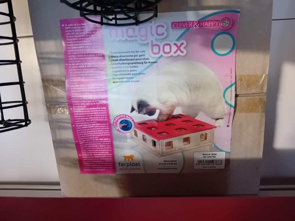 Magic box voor katten, Ophalen of Verzenden, Nieuw