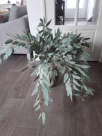 Kunst eculiptus takken, Ophalen