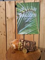 Alocasia macrorrhizos knollen, Groene kamerplant, Ophalen of Verzenden, Halfschaduw, 200 cm of meer