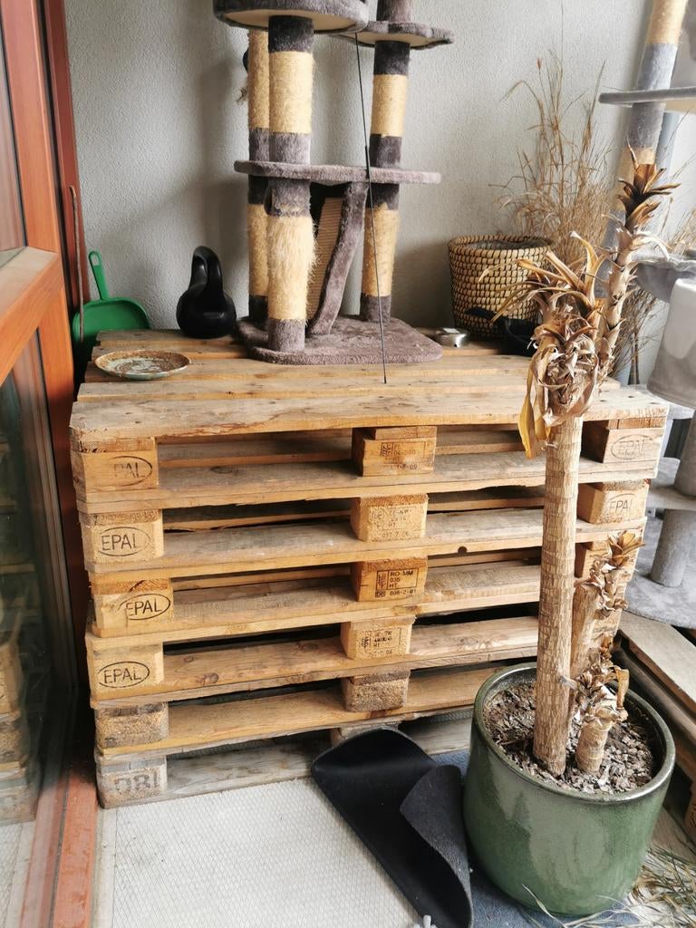 8 gebruikte europallets te koop, Gebruikt, 100 cm of meer, 60 cm of meer, Overige typen