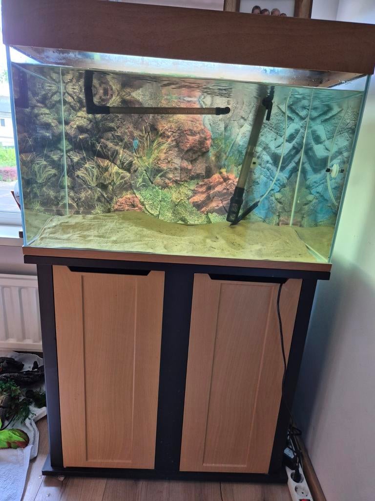 Aquarium, Ophalen
